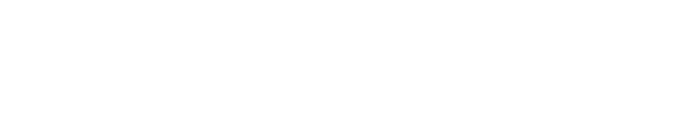 Elementra  - Accountant